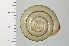  ( - SDNCU-A1113)  @14 [ ] Copyright (2014) Unspecified Specimen depository of the Graduate School of Natural Sciences, Nagoya City University