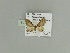  ( - BC ZSM Lep 79814)  @12 [ ] CreativeCommons - Attribution Non-Commercial Share-Alike (2015) Unspecified SNSB, Zoologische Staatssammlung Muenchen
