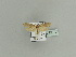  ( - BC ZSM Lep 79872)  @13 [ ] CreativeCommons - Attribution Non-Commercial Share-Alike (2015) Unspecified SNSB, Zoologische Staatssammlung Muenchen
