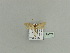  ( - BC ZSM Lep 79873)  @13 [ ] CreativeCommons - Attribution Non-Commercial Share-Alike (2015) Unspecified SNSB, Zoologische Staatssammlung Muenchen