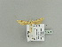  ( - BC ZSM Lep 79904)  @12 [ ] CreativeCommons - Attribution Non-Commercial Share-Alike (2015) Unspecified SNSB, Zoologische Staatssammlung Muenchen