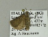 ( - BC ZSM Lep 89101)  @12 [ ] CreativeCommons - Attribution Non-Commercial Share-Alike (2015) Unspecified SNSB, Zoologische Staatssammlung Muenchen