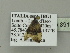  ( - BC ZSM Lep 89109)  @14 [ ] CreativeCommons - Attribution Non-Commercial Share-Alike (2015) Unspecified SNSB, Zoologische Staatssammlung Muenchen