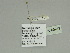  ( - BC ZSM Lep 89917)  @12 [ ] CreativeCommons - Attribution Non-Commercial Share-Alike (2015) Axel Hausmann/Bavarian State Collection of Zoology (ZSM) SNSB, Zoologische Staatssammlung Muenchen
