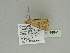  ( - BC ZSM Lep 89941)  @13 [ ] CreativeCommons - Attribution Non-Commercial Share-Alike (2015) Axel Hausmann/Bavarian State Collection of Zoology (ZSM) SNSB, Zoologische Staatssammlung Muenchen