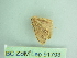  ( - BC ZSM Lep 91793)  @12 [ ] CreativeCommons - Attribution Non-Commercial Share-Alike (2015) Axel Hausmann/Bavarian State Collection of Zoology (ZSM) SNSB, Zoologische Staatssammlung Muenchen