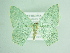  ( - BC ZSM Lep 91813)  @14 [ ] CreativeCommons - Attribution Non-Commercial Share-Alike (2015) Axel Hausmann/Bavarian State Collection of Zoology (ZSM) SNSB, Zoologische Staatssammlung Muenchen