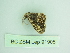 ( - BC ZSM Lep 91905)  @12 [ ] CreativeCommons - Attribution Non-Commercial Share-Alike (2015) Axel Hausmann/Bavarian State Collection of Zoology (ZSM) SNSB, Zoologische Staatssammlung Muenchen