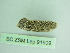  ( - BC ZSM Lep 91909)  @13 [ ] CreativeCommons - Attribution Non-Commercial Share-Alike (2015) Axel Hausmann/Bavarian State Collection of Zoology (ZSM) SNSB, Zoologische Staatssammlung Muenchen