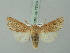  ( - BC ZSM Lep 75359)  @14 [ ] CreativeCommons - Attribution Non-Commercial Share-Alike (2015) Unspecified SNSB, Zoologische Staatssammlung Muenchen