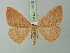  ( - BC ZSM Lep 75642)  @14 [ ] CreativeCommons - Attribution Non-Commercial Share-Alike (2015) Unspecified SNSB, Zoologische Staatssammlung Muenchen