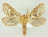  ( - BC ZSM Lep 72589)  @14 [ ] CreativeCommons - Attribution Non-Commercial Share-Alike (2015) Unspecified SNSB, Zoologische Staatssammlung Muenchen