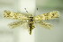  ( - BC ZSM Lep 76402)  @14 [ ] Unspecified (default): All Rights Reserved  Unspecified Unspecified