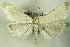  ( - BC ZSM Lep 76878)  @11 [ ] Unspecified (default): All Rights Reserved  Unspecified Unspecified