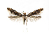  ( - BC ZSM Lep 76960)  @14 [ ] Unspecified (default): All Rights Reserved  Unspecified Unspecified