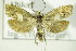  ( - BC ZSM Lep 82424)  @13 [ ] Unspecified (default): All Rights Reserved  Unspecified Unspecified