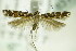  ( - BC ZSM Lep 83111)  @13 [ ] CreativeCommons - Attribution Non-Commercial Share-Alike (2015) Unspecified SNSB, Zoologische Staatssammlung Muenchen