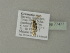  ( - BC ZSM Lep 77477)  @12 [ ] CreativeCommons - Attribution Non-Commercial Share-Alike (2013) Axel Hausmann/Bavarian State Collection of Zoology (ZSM) SNSB, Zoologische Staatssammlung Muenchen
