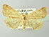  ( - BC ZSM Lep 78130)  @13 [ ] CreativeCommons - Attribution Non-Commercial Share-Alike (2013) Axel Hausmann/Bavarian State Collection of Zoology (ZSM) SNSB, Zoologische Staatssammlung Muenchen