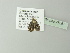  ( - BC ZSM Lep 78367)  @12 [ ] CreativeCommons - Attribution Non-Commercial Share-Alike (2014) Axel Hausmann/Bavarian State Collection of Zoology (ZSM) SNSB, Zoologische Staatssammlung Muenchen