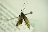  ( - BC ZSM Lep 80832)  @12 [ ] CreativeCommons - Attribution Non-Commercial Share-Alike (2014) Axel Hausmann/Bavarian State Collection of Zoology (ZSM) SNSB, Zoologische Staatssammlung Muenchen