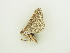  ( - BC ZSM Lep 81844)  @12 [ ] CreativeCommons - Attribution Non-Commercial Share-Alike (2014) Axel Hausmann/Bavarian State Collection of Zoology (ZSM) SNSB, Zoologische Staatssammlung Muenchen