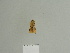  ( - BC ZSM Lep 84228)  @12 [ ] CreativeCommons - Attribution Non-Commercial Share-Alike (2014) Axel Hausmann/Bavarian State Collection of Zoology (ZSM) SNSB, Zoologische Staatssammlung Muenchen