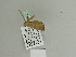  ( - BC ZSM Lep 84271)  @12 [ ] CreativeCommons - Attribution Non-Commercial Share-Alike (2014) Axel Hausmann/Bavarian State Collection of Zoology (ZSM) SNSB, Zoologische Staatssammlung Muenchen