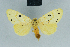  ( - BC ZSM Lep 84410)  @14 [ ] CreativeCommons - Attribution Non-Commercial Share-Alike (2014) Axel Hausmann/Bavarian State Collection of Zoology (ZSM) SNSB, Zoologische Staatssammlung Muenchen