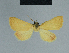  ( - BC ZSM Lep 84456)  @12 [ ] CreativeCommons - Attribution Non-Commercial Share-Alike (2014) Axel Hausmann/Bavarian State Collection of Zoology (ZSM) SNSB, Zoologische Staatssammlung Muenchen