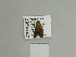  ( - BC ZSM Lep 84480)  @12 [ ] CreativeCommons - Attribution Non-Commercial Share-Alike (2014) Axel Hausmann/Bavarian State Collection of Zoology (ZSM) SNSB, Zoologische Staatssammlung Muenchen