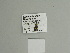  ( - BC ZSM Lep 84508)  @12 [ ] CreativeCommons - Attribution Non-Commercial Share-Alike (2014) Axel Hausmann/Bavarian State Collection of Zoology (ZSM) SNSB, Zoologische Staatssammlung Muenchen