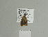  ( - BC ZSM Lep 84529)  @12 [ ] CreativeCommons - Attribution Non-Commercial Share-Alike (2014) Axel Hausmann/Bavarian State Collection of Zoology (ZSM) SNSB, Zoologische Staatssammlung Muenchen