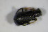  ( - GBOL_Col_FK_4544)  @12 [ ] CreativeCommons - Attribution Non-Commercial Share-Alike (2015) Unspecified SNSB, Zoologische Staatssammlung Muenchen