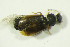  ( - GBOL09851)  @12 [ ] CreativeCommons - Attribution Non-Commercial Share-Alike (2015) Unspecified SNSB, Zoologische Staatssammlung Muenchen