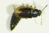  ( - GBOL09857)  @12 [ ] CreativeCommons - Attribution Non-Commercial Share-Alike (2015) Unspecified SNSB, Zoologische Staatssammlung Muenchen