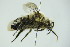  ( - GBOL09920)  @13 [ ] CreativeCommons - Attribution Non-Commercial Share-Alike (2015) Unspecified SNSB, Zoologische Staatssammlung Muenchen