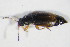  ( - GBOL10466)  @12 [ ] CreativeCommons - Attribution Non-Commercial Share-Alike (2015) Unspecified SNSB, Zoologische Staatssammlung Muenchen
