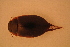  ( - GBOL13732)  @12 [ ] CreativeCommons - Attribution Non-Commercial Share-Alike (2015) Unspecified SNSB, Zoologische Staatssammlung Muenchen