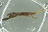  ( - GBOL18793)  @12 [ ] CreativeCommons - Attribution Non-Commercial Share-Alike (2016) SNSB, Staatliche Naturwissenschaftliche Sammlungen Bayerns ZSM (SNSB, Zoologische Staatssammlung Muenchen)
