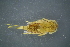  ( - GBOL19419)  @11 [ ] CreativeCommons - Attribution Non-Commercial Share-Alike (2016) SNSB, Staatliche Naturwissenschaftliche Sammlungen Bayerns ZSM (SNSB, Zoologische Staatssammlung Muenchen)