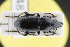 ( - GBOLRL0448)  @11 [ ] CreativeCommons - Attribution Non-Commercial Share-Alike (2016) SNSB, Staatliche Naturwissenschaftliche Sammlungen Bayerns ZSM (SNSB, Zoologische Staatssammlung Muenchen)
