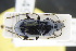  ( - GBOLRL0449)  @11 [ ] CreativeCommons - Attribution Non-Commercial Share-Alike (2016) SNSB, Staatliche Naturwissenschaftliche Sammlungen Bayerns ZSM (SNSB, Zoologische Staatssammlung Muenchen)