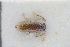 ( - GBOLRL0679)  @11 [ ] CreativeCommons - Attribution Non-Commercial Share-Alike (2016) SNSB, Staatliche Naturwissenschaftliche Sammlungen Bayerns ZSM (SNSB, Zoologische Staatssammlung Muenchen)