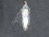  ( - BIOUG21493-C08)  @12 [ ] CreativeCommons - Attribution (2015) CBG Photography Group Centre for Biodiversity Genomics