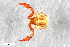  ( - ZFMK-TIS-2555927)  @11 [ ] CreativeCommons  Attribution Share-Alike (by-sa) 4.0 (2015) Unspecified Zoologisches Forschungsmuseum Alexander Koenig