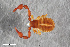  ( - ZFMK-TIS-2568744)  @11 [ ] CreativeCommons  Attribution Share-Alike (by-sa) 4.0 (2017) Unspecified Zoologisches Forschungsmuseum Alexander Koenig
