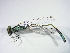  ( - GBOL02855)  @12 [ ] CreativeCommons - Attribution Non-Commercial Share-Alike (2015) Unspecified SNSB, Zoologische Staatssammlung Muenchen