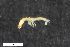  ( - ZFMK-TIS-2573908)  @12 [ ] CreativeCommons  Attribution Share-Alike (by-sa) 4.0 (2016) Unspecified Zoologisches Forschungsmuseum Alexander Koenig