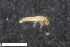  ( - ZFMK-TIS-2573936)  @12 [ ] CreativeCommons  Attribution Share-Alike (by-sa) 4.0 (2016) Unspecified Zoologisches Forschungsmuseum Alexander Koenig